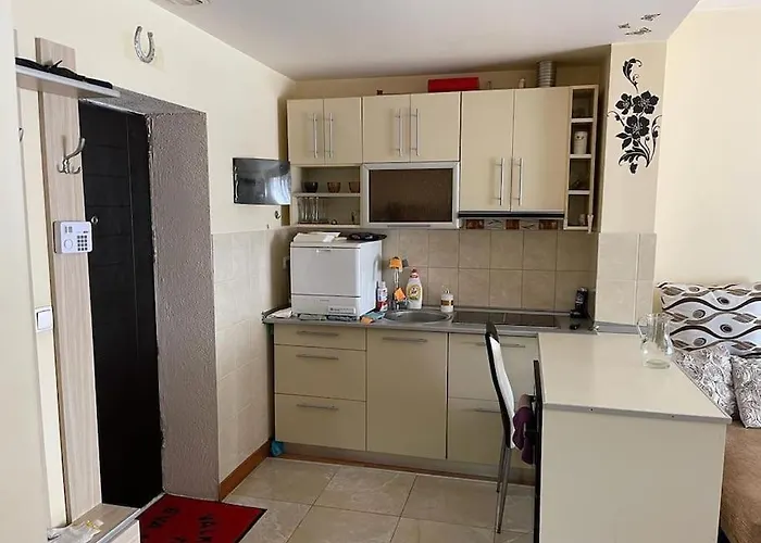 Apartament Cu Un Dormitor / One Bedroom Apartment
