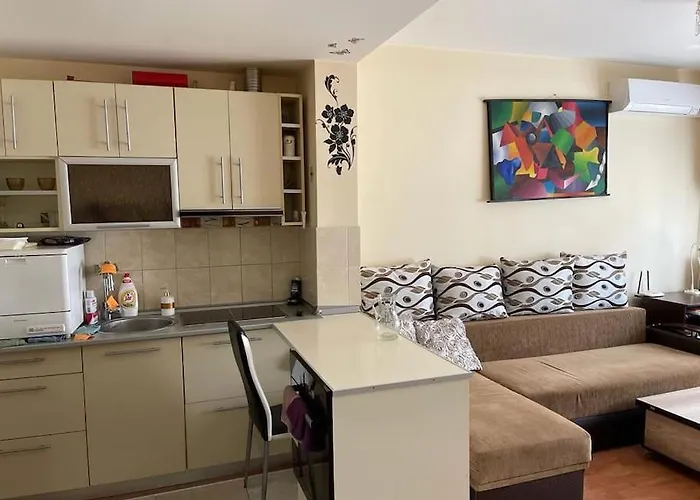 Apartament Cu Un Dormitor / One Bedroom Apartment