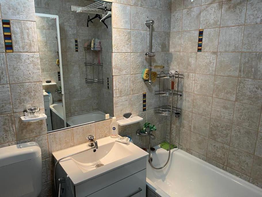 Cu Un Dormitor / One Bedroom Apartment Satu Mare