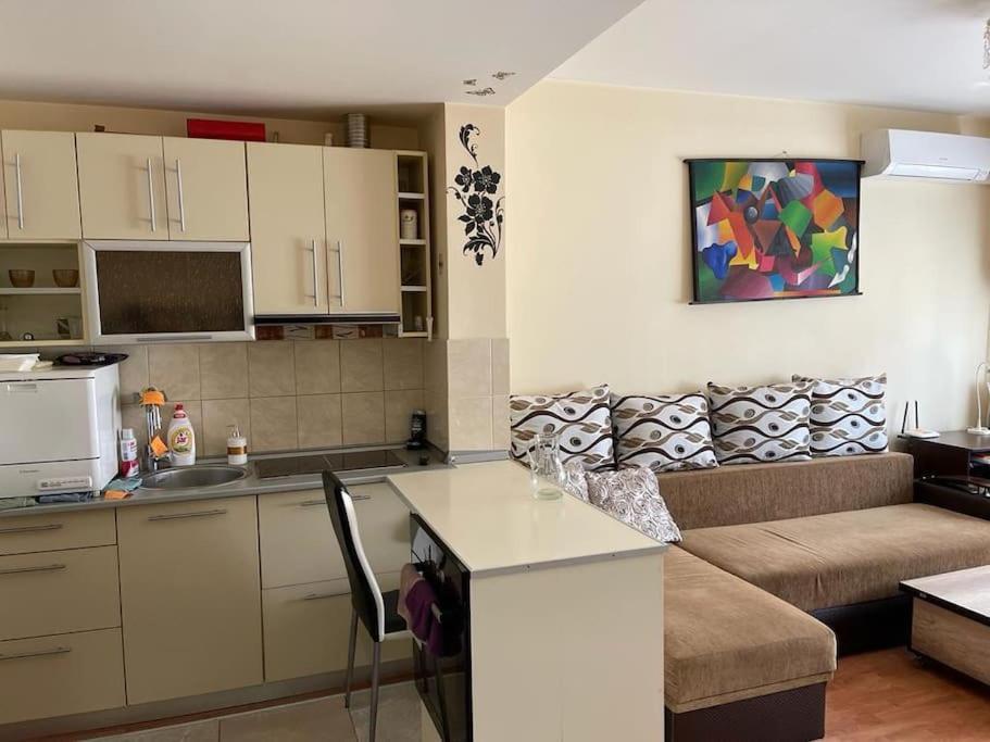 Cu Un Dormitor / One Bedroom Satu Mare